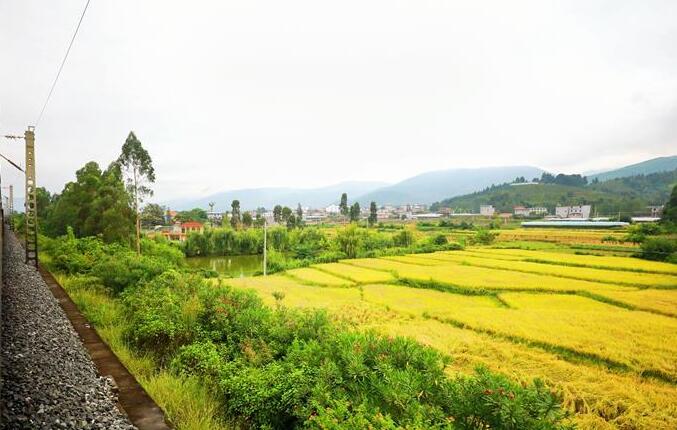 坐著高鐵看中國｜走成昆，感受闖過禁區(qū)的光影記錄