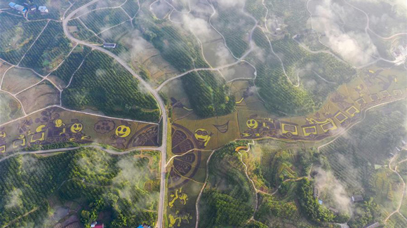 百城千縣萬(wàn)村調(diào)研行｜在三峽橘鄉(xiāng)，遇見(jiàn)最美的田園時(shí)光！