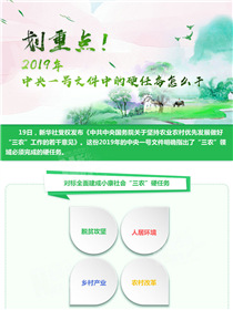 劃重點(diǎn)！2019年中央一號(hào)文件中的硬任務(wù)怎么干