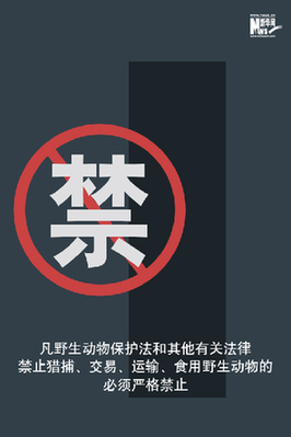 向非法野生動(dòng)物交易、濫食野生動(dòng)物陋習(xí)亮劍