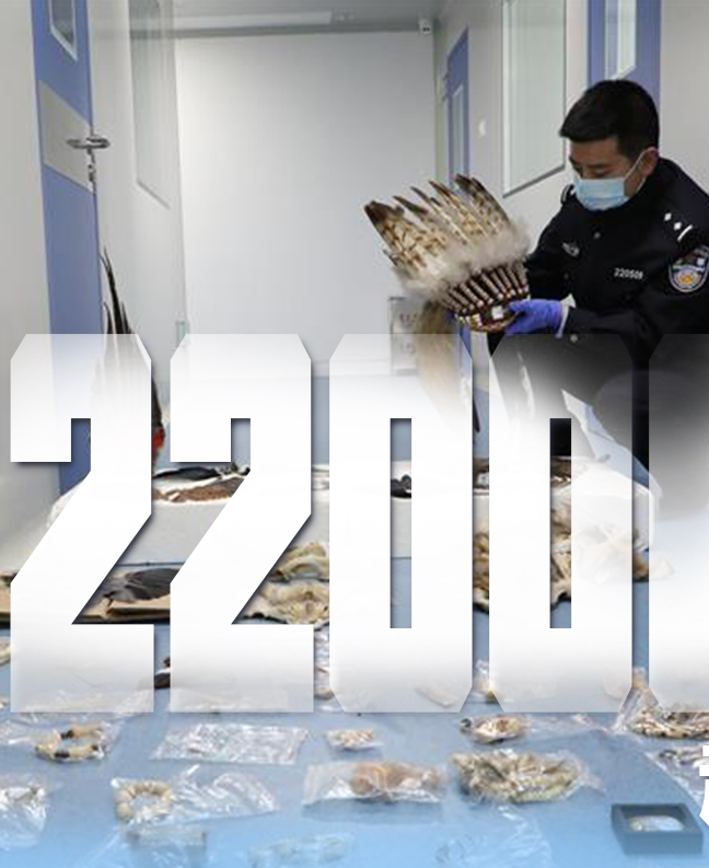 抗疫有&ldquo;法&rdquo;，就是這么給力！