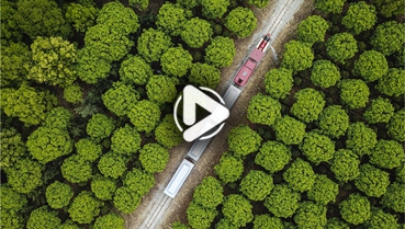 第十一集：你好！地球衛(wèi)士