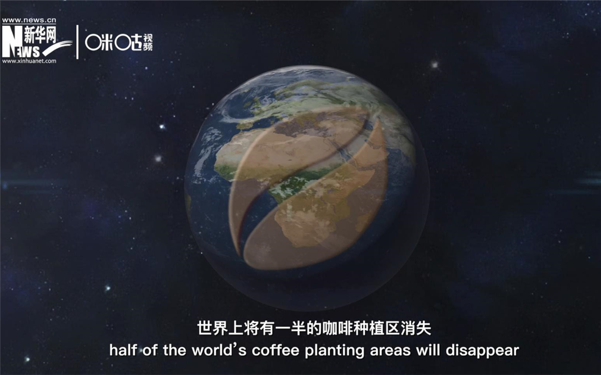 科學(xué)家預(yù)測(cè)到三十年后，世界上將有一半的咖啡種植區(qū)消失