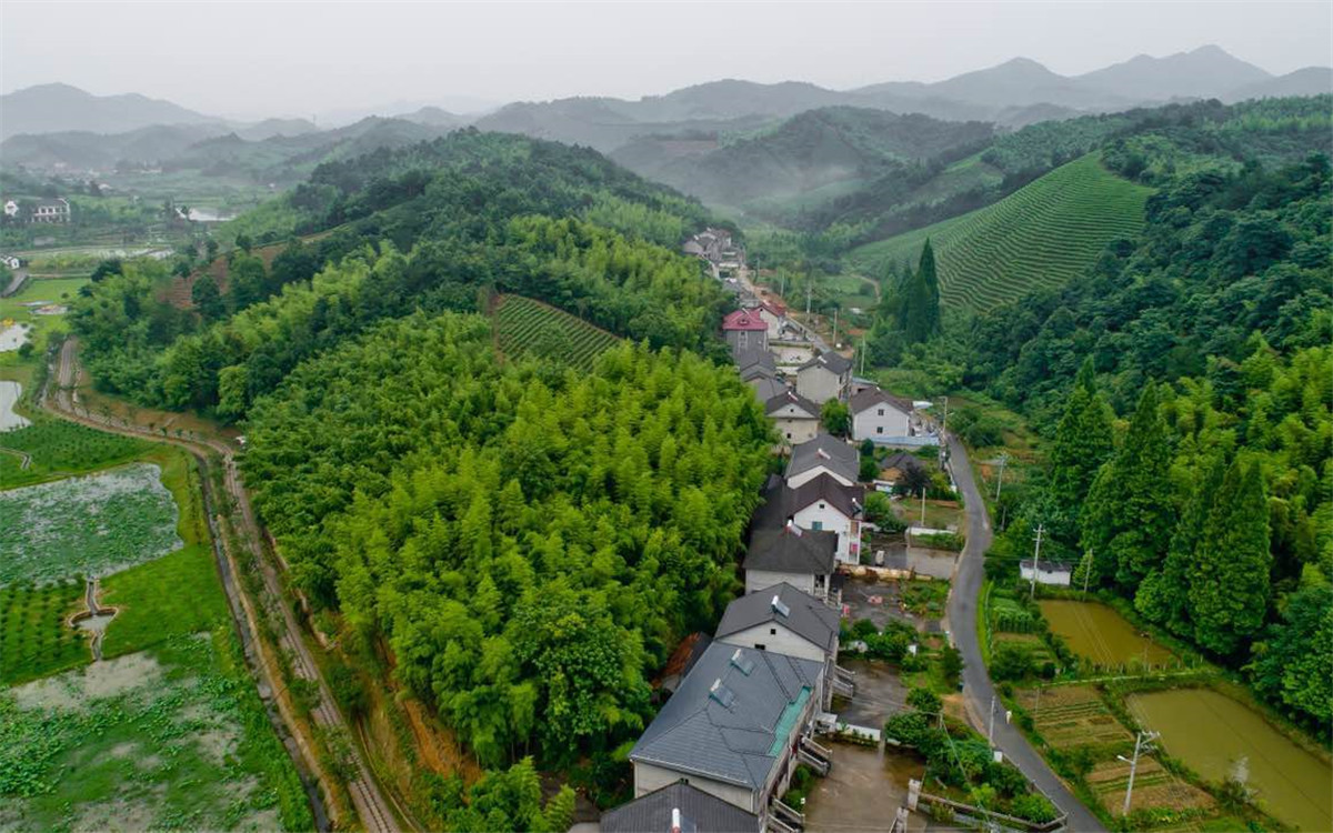 從2003年起，浙江省開展了&ldquo;千村示范、萬村整治&rdquo;工程