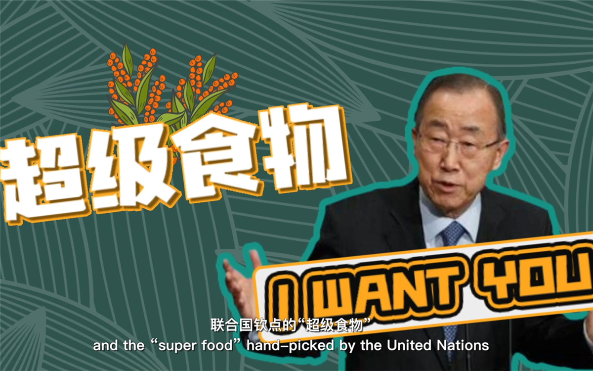 聯(lián)合國(guó)將藜麥視為抗擊饑餓的&ldquo;超級(jí)食物&rdquo;，大力推廣