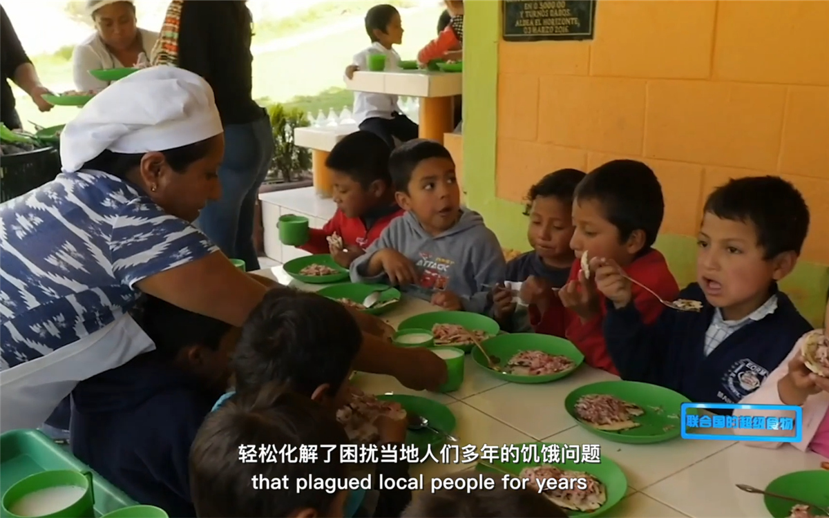 藜麥的蹤跡遍布北美、歐洲、亞洲和非洲多地