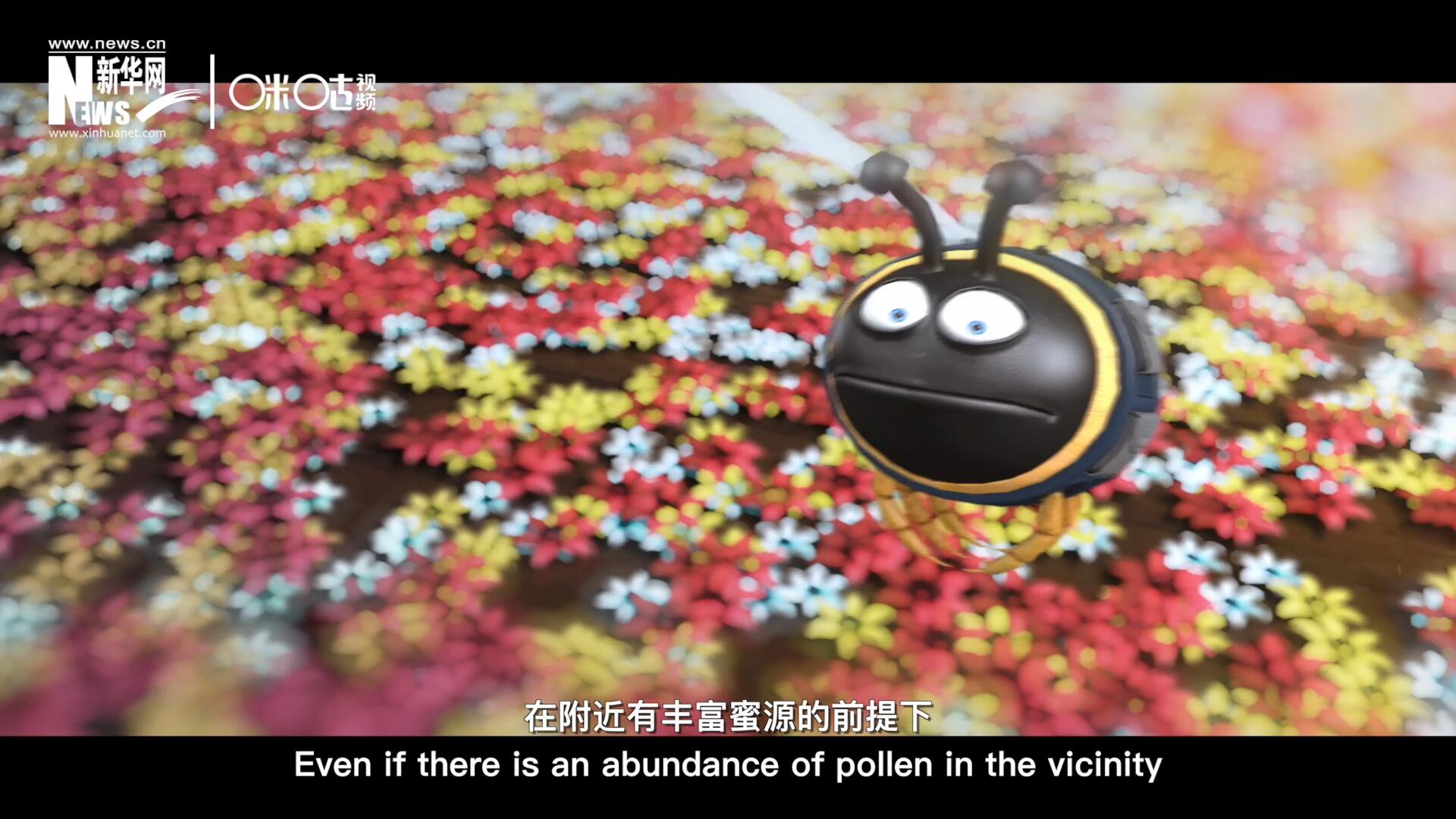 你知道一只蜜蜂采一公斤蜜有多辛苦嗎？據(jù)統(tǒng)計(jì)，在附近有豐富蜜源的前提下，一只蜜蜂大約需要飛行四萬(wàn)千米