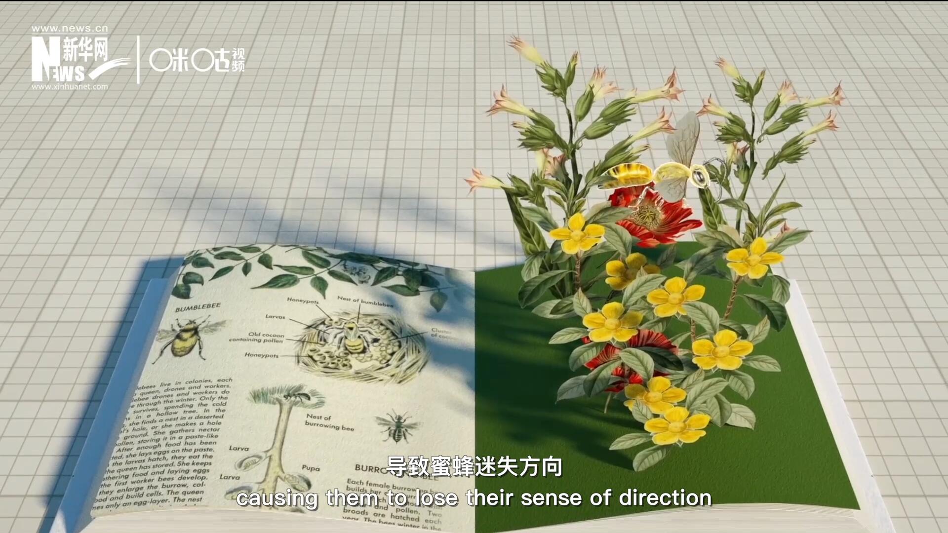 殺蟲(chóng)劑會(huì)破壞蜜蜂的神經(jīng)系統(tǒng)，導(dǎo)致蜜蜂迷失方向，無(wú)法回到蜂房，還會(huì)降低蜜蜂的抵抗力