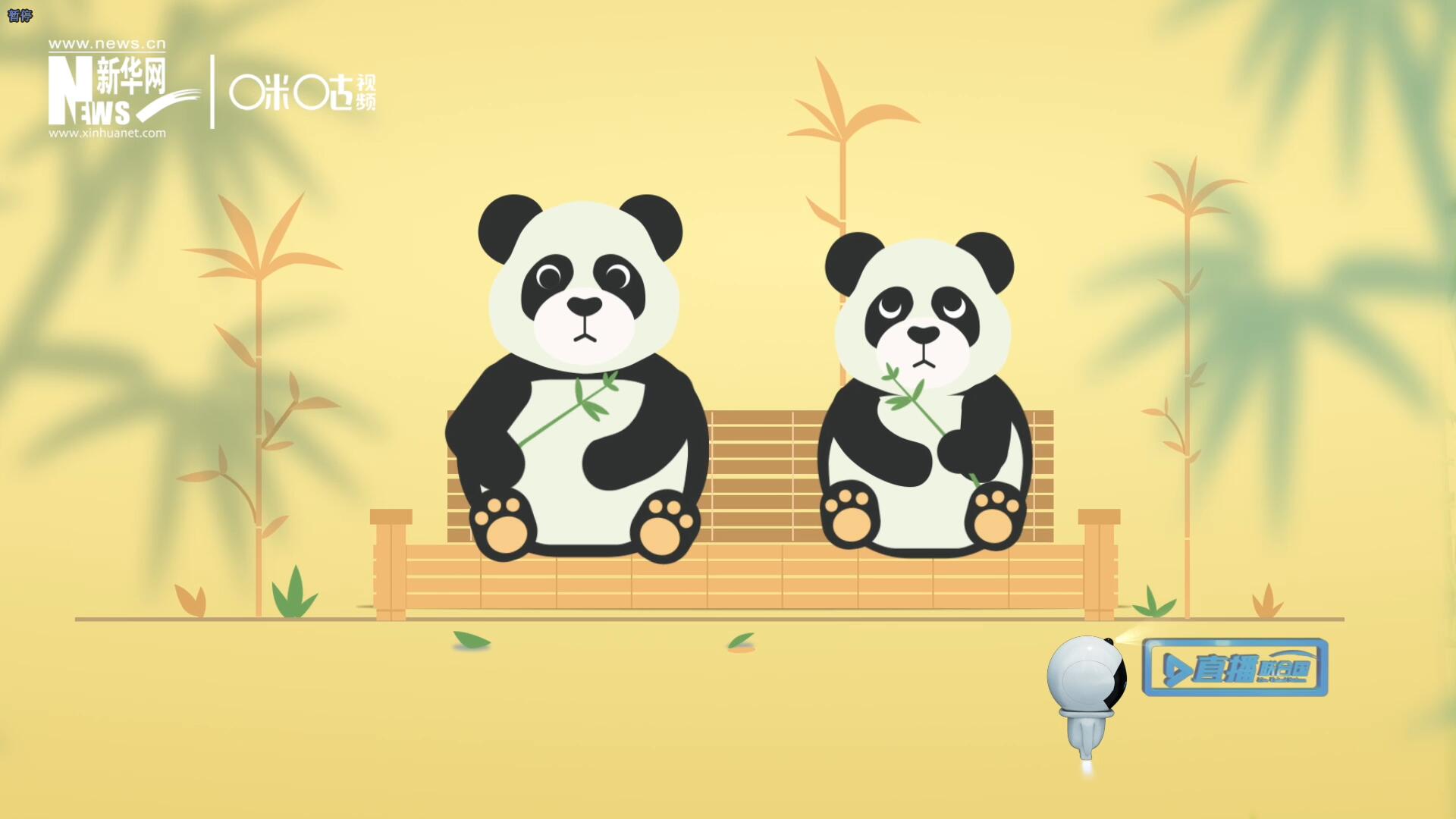 &ldquo;哥哥你看，又有人來看我們了。&rdquo;&ldquo;有什么奇怪的，我們可是聯(lián)合國&lsquo;最萌&rsquo;的大使??！&rdquo;。