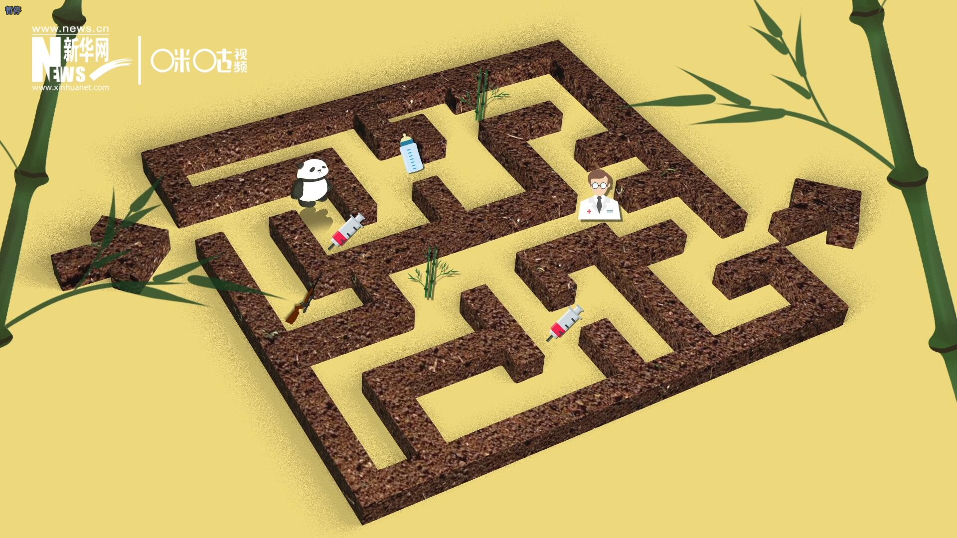 2016年，國際自然保護(hù)聯(lián)盟將大熊貓的物種瀕危等級(jí)，從&ldquo;瀕危&rdquo;下降到了&ldquo;易危&rdquo;。