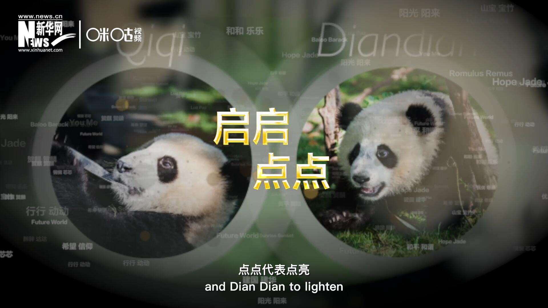 啟啟代表&ldquo;啟發(fā)&rdquo;，點(diǎn)點(diǎn)代表&ldquo;點(diǎn)亮&rdquo;，象征著2030年可持續(xù)發(fā)展議程 的&ldquo;起點(diǎn)&rdquo;，也象征著全球可持續(xù)發(fā)展路徑的新起點(diǎn)。