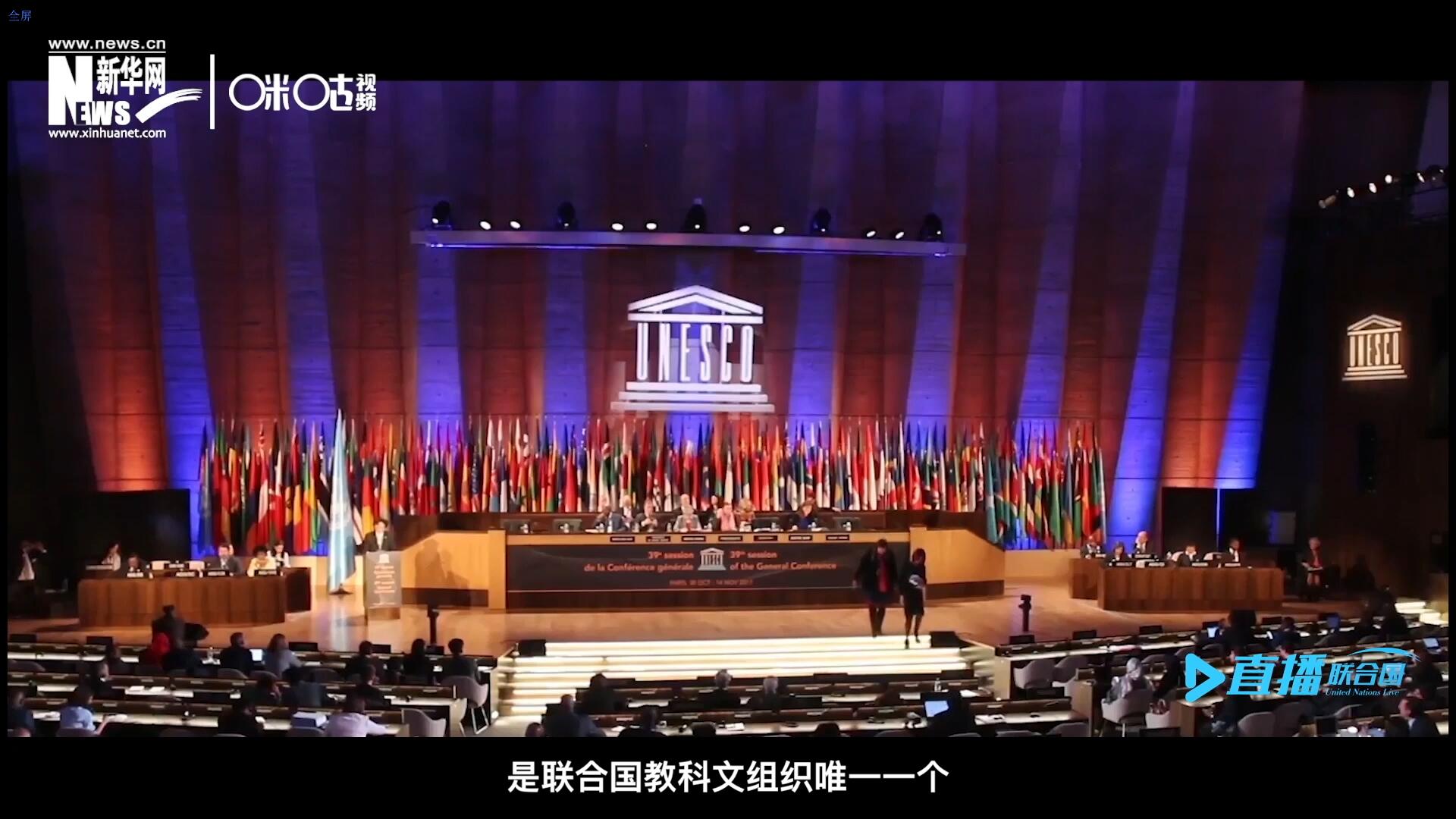 民間藝術(shù)國際組織成立于1979年，是聯(lián)合國教科文組織唯一一個以保護和挖掘國際民間藝術(shù)為工作中心的國際機構(gòu)。