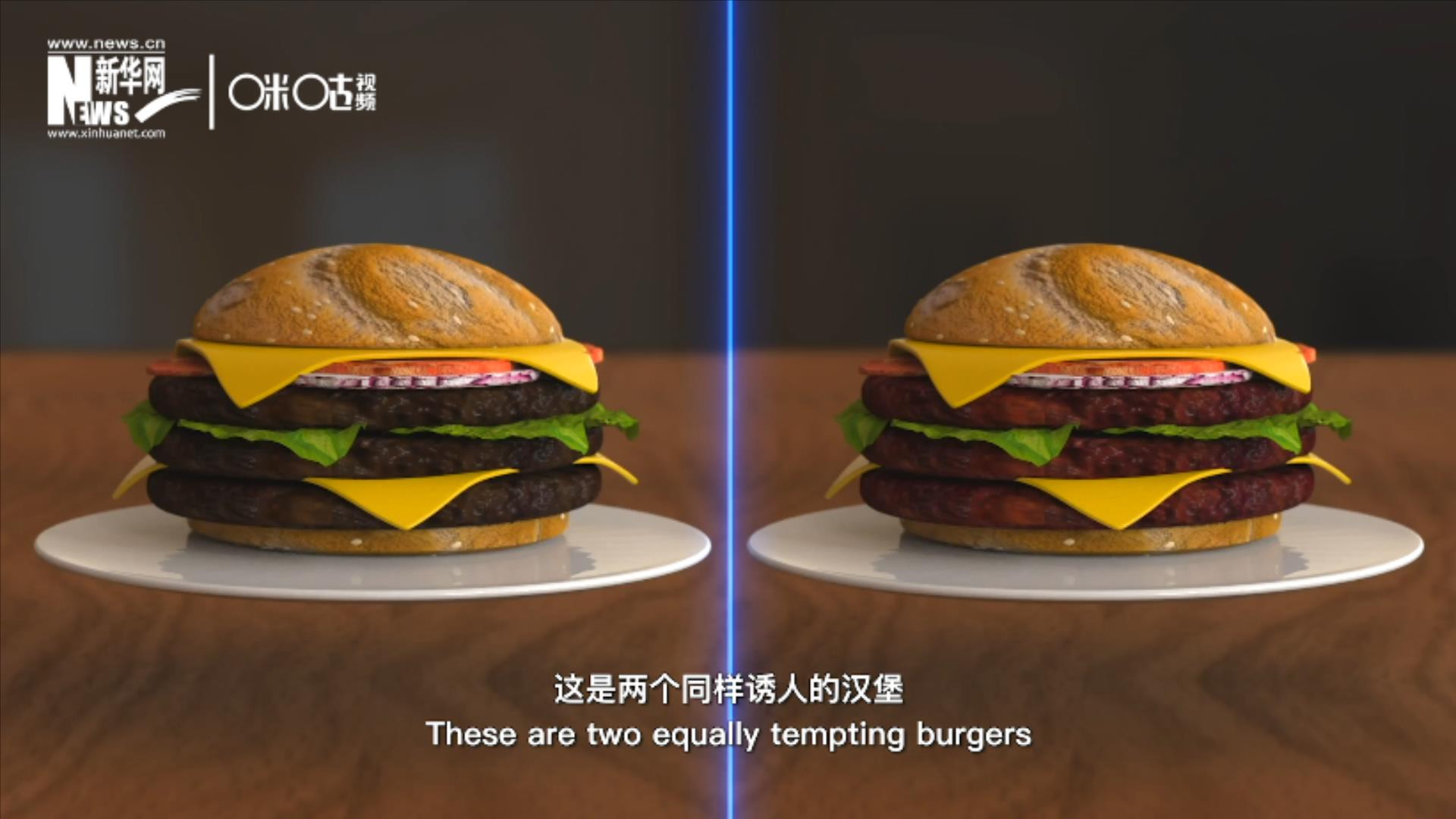 人造肉漢堡能在生產(chǎn)過(guò)程中節(jié)約水、土地、排放以及能量