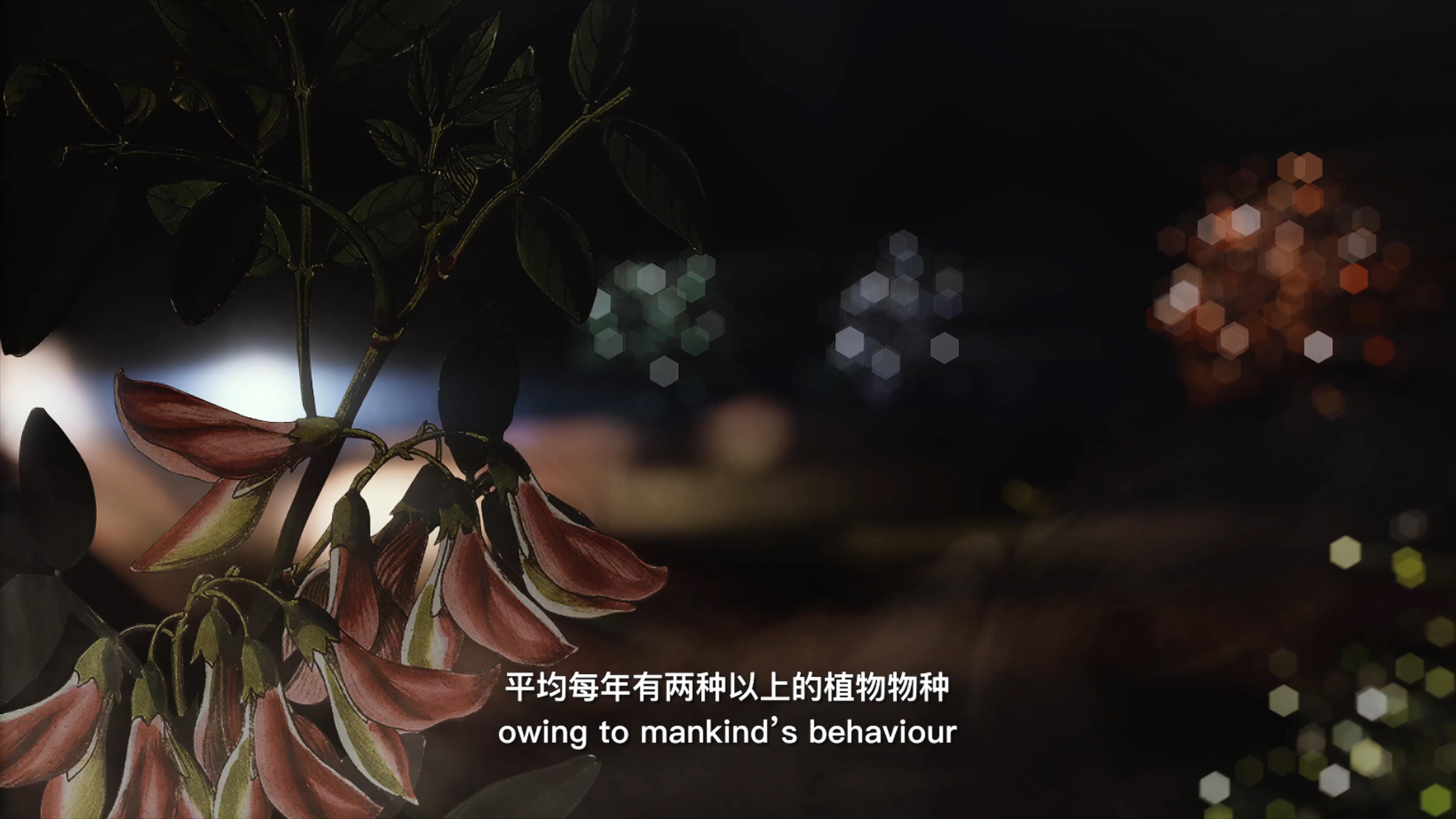 自18世紀(jì)中葉以來(lái)，許多植物物種因?yàn)槿祟惖脑蚨鴱牡厍蛏舷? />      
<div   id=