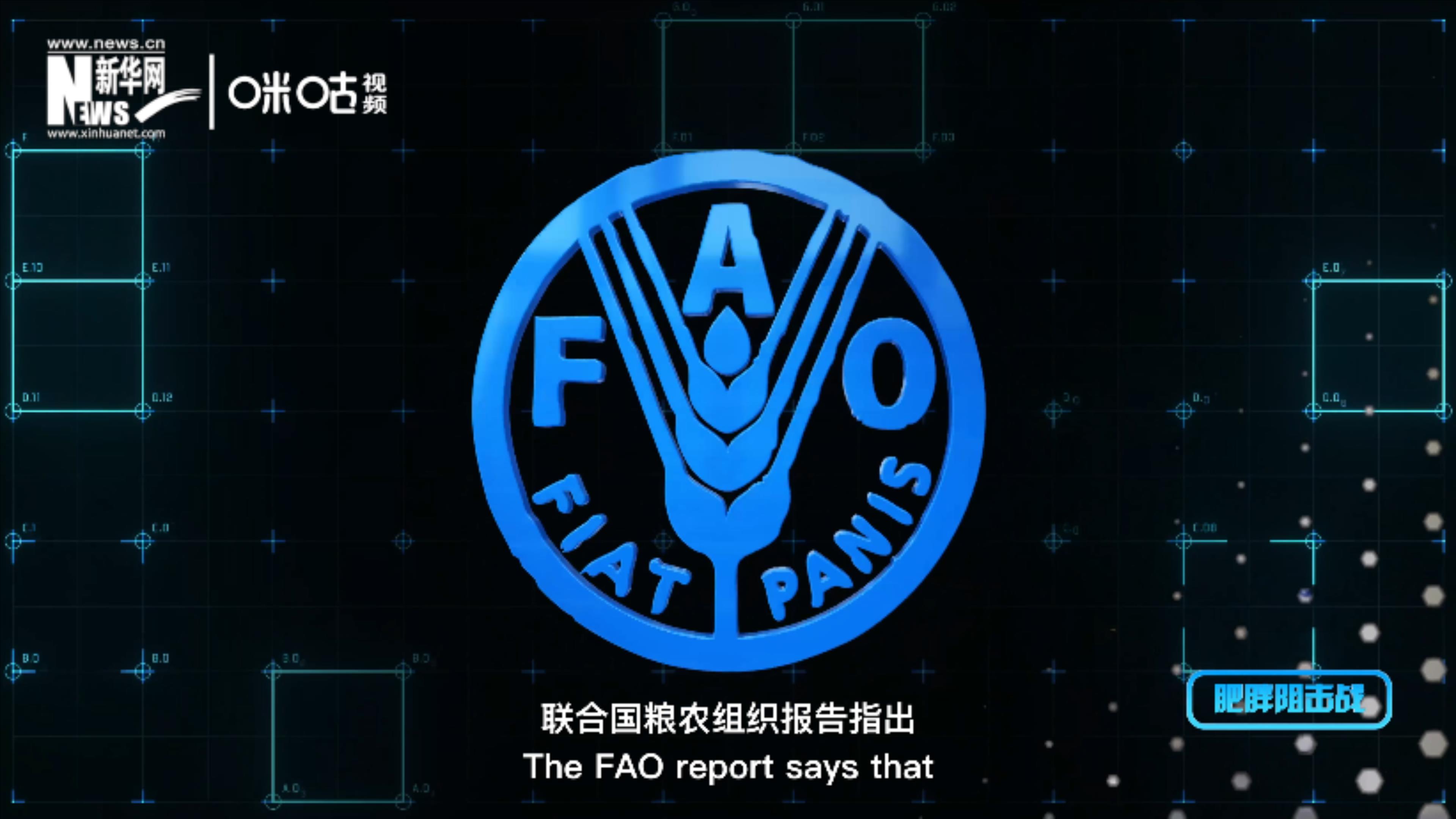 聯(lián)合國(guó)糧農(nóng)組織指出全球有400萬人因肥胖死亡