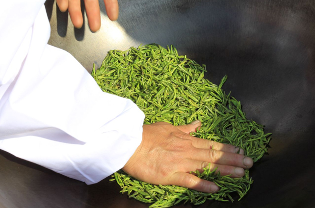 好茶占盡天時地利，炒茶師月入三五萬