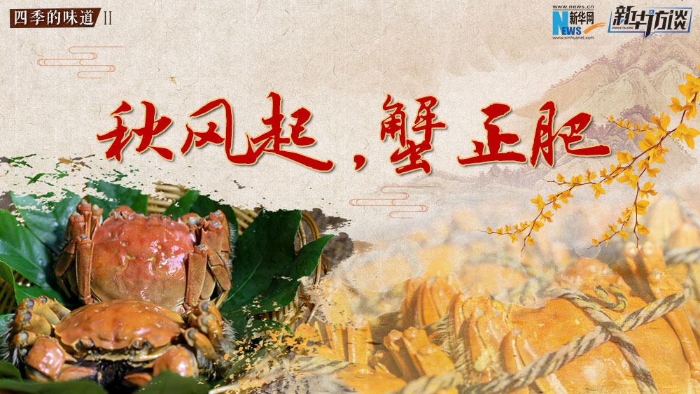 秋風起，蟹正肥