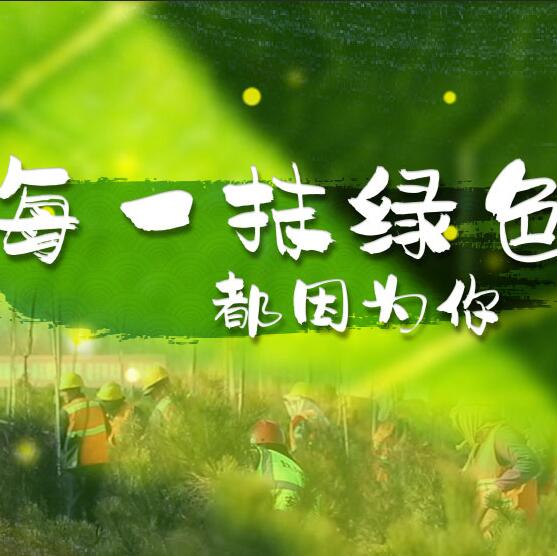 千年秀林，每一抹綠色都因?yàn)槟? /></a>       
<div   id=