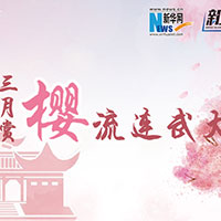 三月賞櫻，流連武大