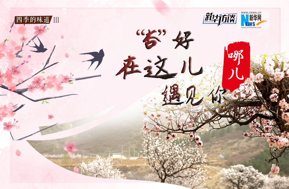 哪兒？&ldquo;杏&rdquo;好在這兒遇見你！