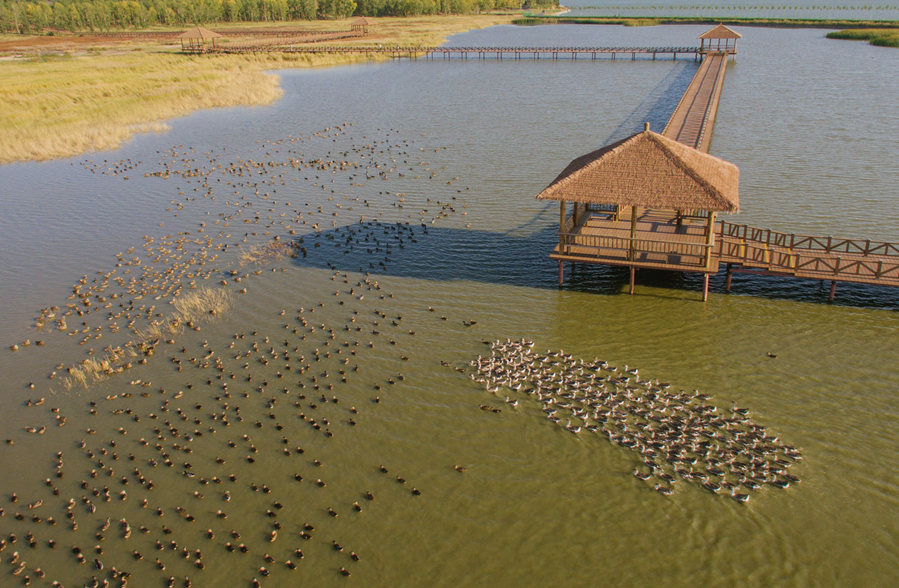 新華微評&middot;學(xué)習(xí)路上：生態(tài)興，百業(yè)旺