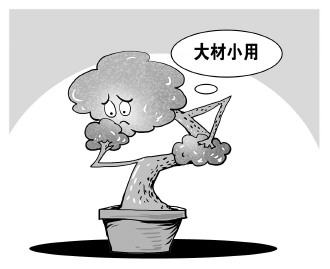 自認&ldquo;大材小用&rdquo;，不如腳踏實地