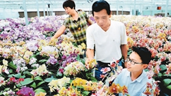 臺商眼中的改革開放：風景這邊獨好 要去，要去，要去！