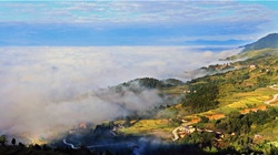 臺胞臺商熱議陜西惠臺&ldquo;60條&rdquo;：期盼落實、共享機遇