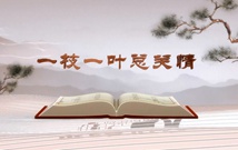 《平&ldquo;語(yǔ)&rdquo;近人&mdash;&mdash;習(xí)近平總書(shū)記用典》（第一集）一枝一葉總關(guān)情