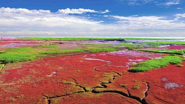 生態(tài)中國(guó)&middot;天遼地寧紅灘舞