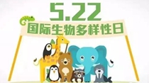 國(guó)際生物多樣性日：讓每個(gè)人從點(diǎn)滴做起