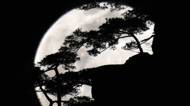 太驚艷！明月奇松 夢幻同框