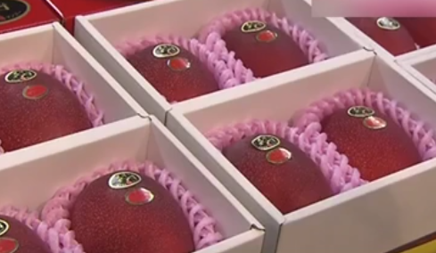 宮崎縣&ldquo;太陽蛋&rdquo;芒果 兩個拍出20萬日元