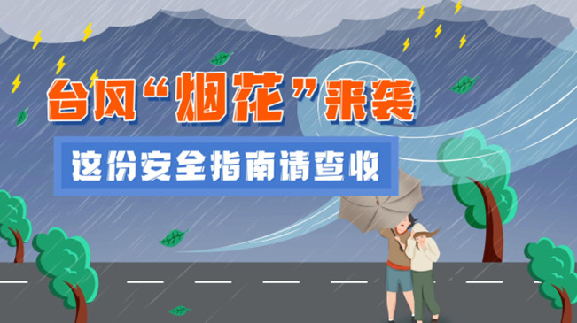 MG動畫：臺風(fēng)&ldquo;煙花&rdquo;來襲，這份安全指南請查收