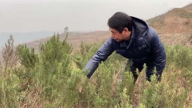 新春走基層｜脫貧后，駐村扶貧隊長在干啥？