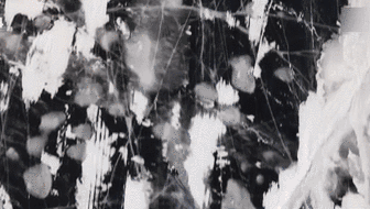 耐力比拼 俄羅斯&ldquo;冰風(fēng)暴&rdquo;越野賽冰面開賽