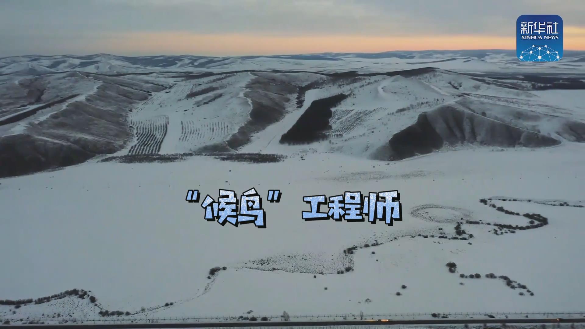 我們在奔跑丨一路向北！他是逆行的&ldquo;候鳥&rdquo;