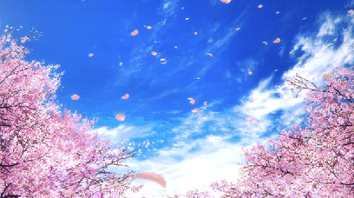 寧波這個地方早櫻花開成海，滿足你對春天的所有想象