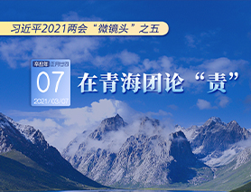 習(xí)近平2021兩會&ldquo;微鏡頭&rdquo;之五：3月7日 在青海團論&ldquo;責(zé)&rdquo;