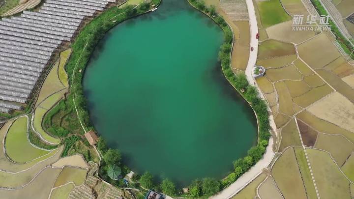 稻田新插，這里的山村美翻了！