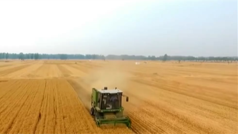 今天是第31個(gè)全國&ldquo;土地日&rdquo;：堅(jiān)持最嚴(yán)格耕地保護(hù)制度 端穩(wěn)&ldquo;飯碗田&rdquo;