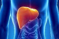 【健康解碼】轉氨酶輕度升高要不要緊？