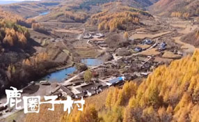 探秘關(guān)東人家，畫一個(gè)童話里的秋天