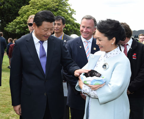 11月18日，國家主席習(xí)近平在澳大利亞塔斯馬尼亞州與朗塞斯頓市斯科奇－歐克伯恩小學(xué)的小學(xué)生共同植樹。這是習(xí)近平和夫人彭麗媛植樹后撫摸袋獾。新華社記者 馬占成 攝