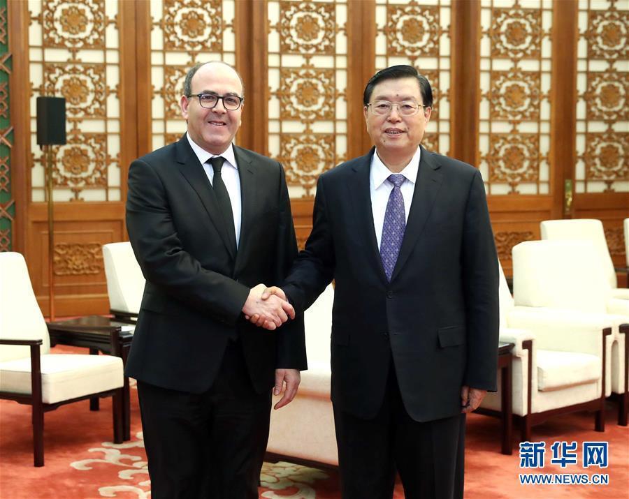 12月20日，全國人大常委會委員長張德江在北京人民大會堂會見摩洛哥參議長本希馬。新華社記者劉衛(wèi)兵攝