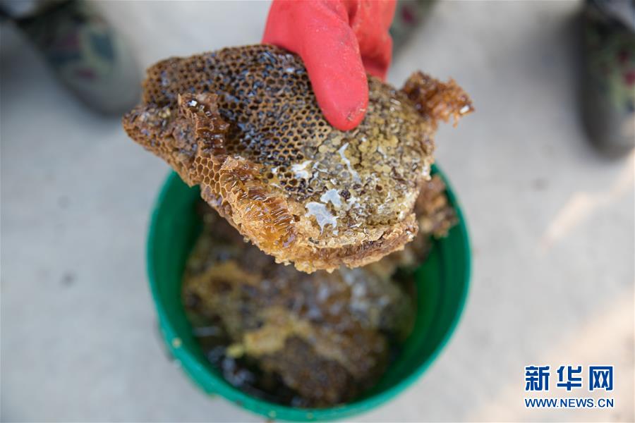 (國(guó)際·聚焦進(jìn)口博覽會(huì)·圖文互動(dòng))(7)通訊:贊比亞蜂蜜企業(yè)欲借進(jìn)博會(huì)開拓中國(guó)市場(chǎng)