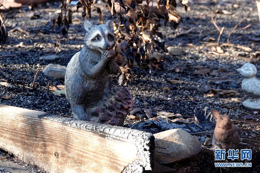 （國(guó)際&middot;圖文互動(dòng)）（4）一場(chǎng)山火，讓這個(gè)冬天格外冷&mdash;&mdash;探訪美國(guó)加州山火災(zāi)區(qū)