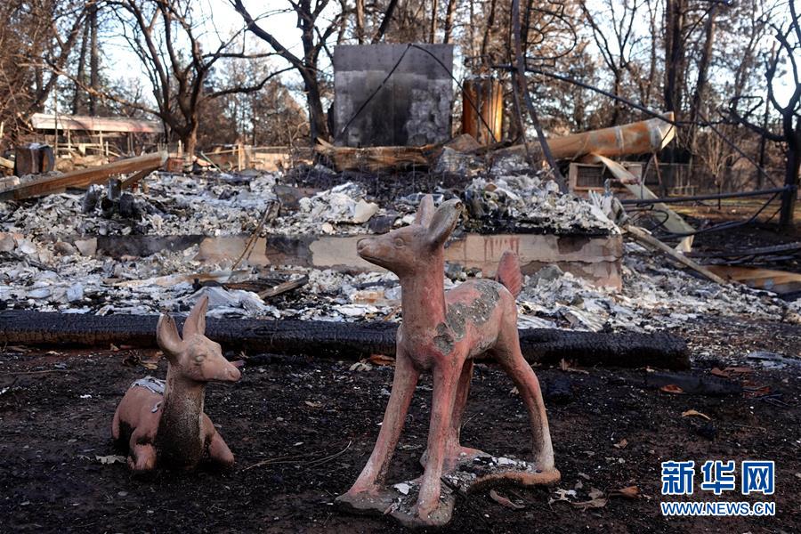 （國(guó)際&middot;圖文互動(dòng)）（6）一場(chǎng)山火，讓這個(gè)冬天格外冷&mdash;&mdash;探訪美國(guó)加州山火災(zāi)區(qū)