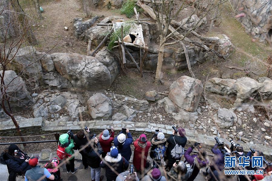 （國(guó)際&middot;圖文互動(dòng)）（6）中美建交四十年 一路風(fēng)雨總向前 