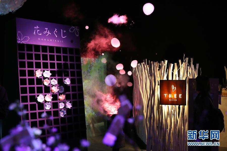 （國際）（2）日本東京：寒冬時節(jié)賞&ldquo;繁花&rdquo; 